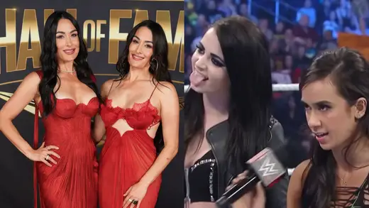 AJ Lee's Status Causes Buzz in Paige-Nikki Bella Rivalry