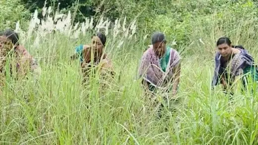 Modi Gives Major Props to Maithili Bhue's Forest Game