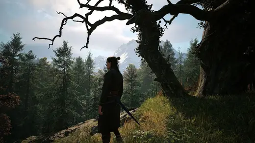 Unlock All 46 Achievements in The Blood of Dawnwalker