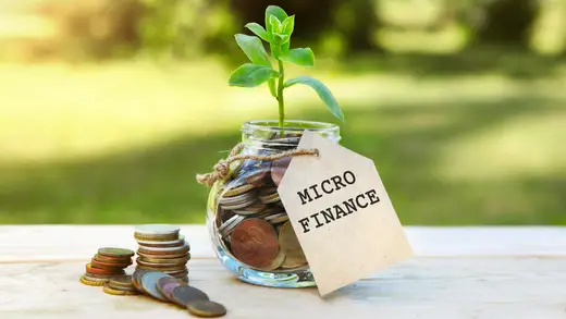 Small Finance Banks Set to Shine with NPA Drop by FY27