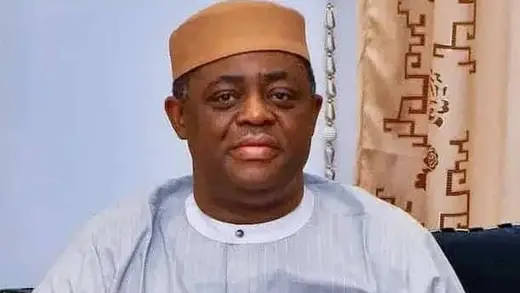 Fani-Kayode Calls Out US Firm for Badmouthing Tinubu