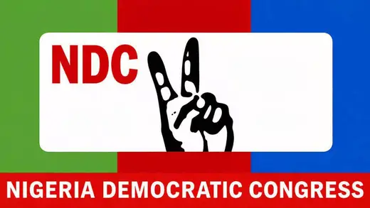 NDC Shouts 'Not Us!' to Allegations of Election Shenanigans