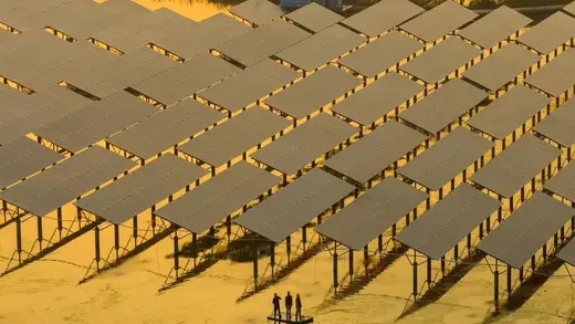 Chinese Energy Firms Seek Simple Rules for Global Success
