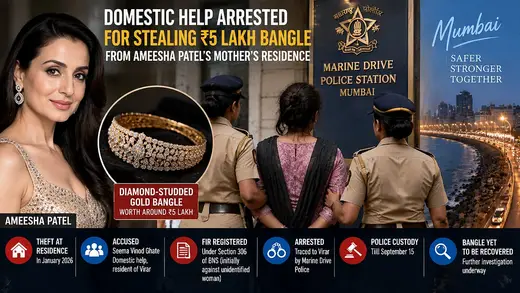Maid Arrested in Dazzling Bangle Heist Adventure