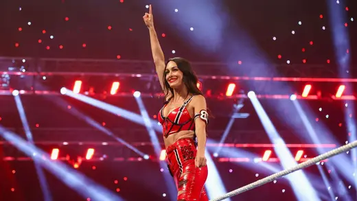 Brie Bella's Injury Update: Family Time and Ring Dreams Ahead