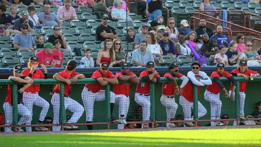 ValleyCats Strut Back to Bruno Stadium for 25th Season