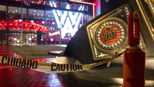 Janel Grant Shares Surprising Feelings on Vince McMahon Scandal