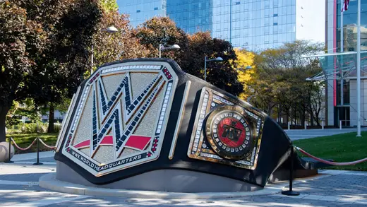 Former WWE Champion cast in new season of popular Netflix show