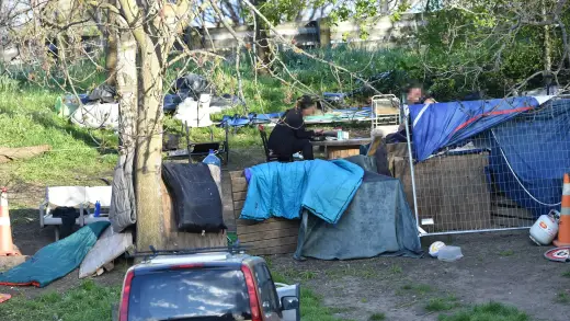 New Zealand Voters Say Money Matters More Than Social Issues
