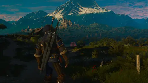 Unleash the Euphoria Build in The Witcher 3 Like a Pro