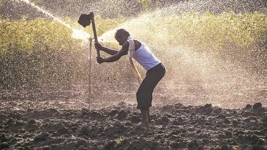 India's Rural Economy: Tougher Than a Monsoon Downpour