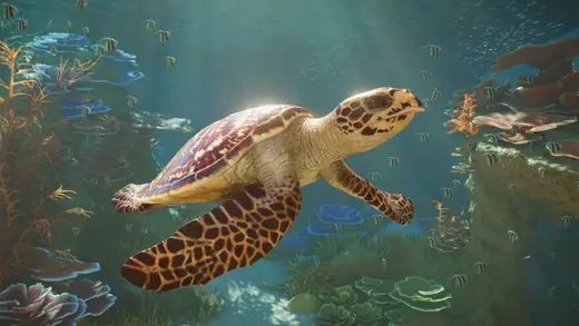 Beginner Tips For Planet Zoo 2 To Build Your Dream Zoo