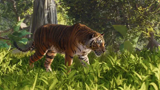 Planet Zoo 2 Crashes: Fixes To Save Your Zoo