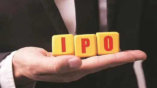 IPO offer document: What to read, what to skip when assessing fundamentals