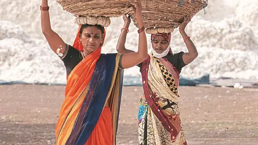 Government Extends Cotton Duty Exemption Until December 31