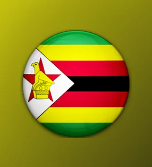ZIM