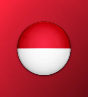 International flag