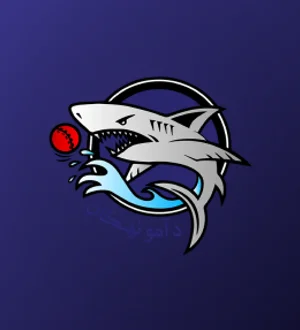 Amo Sharks