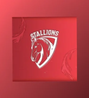 Stallions
