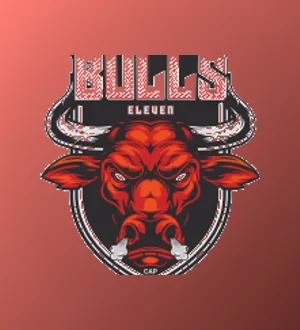 Bulls XI