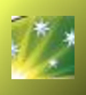 Cricket Australia Women's XI
