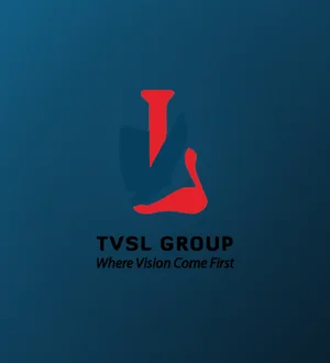 The Vision Shipping