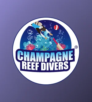Champagne Reef Divers