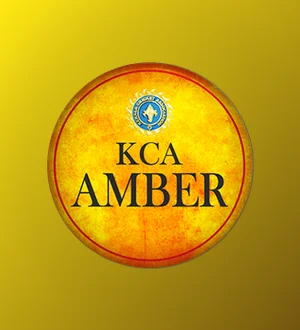 Team Amber
