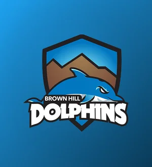 Brownhill Dolphins