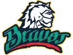 Bravos de Leon