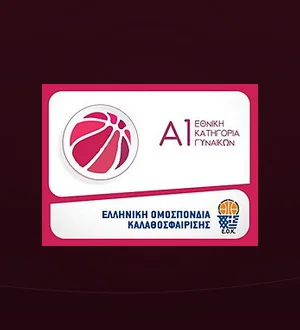 Womens Basketball League 1