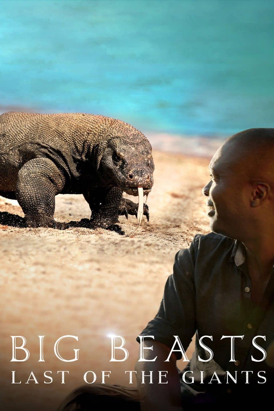 Movie Background