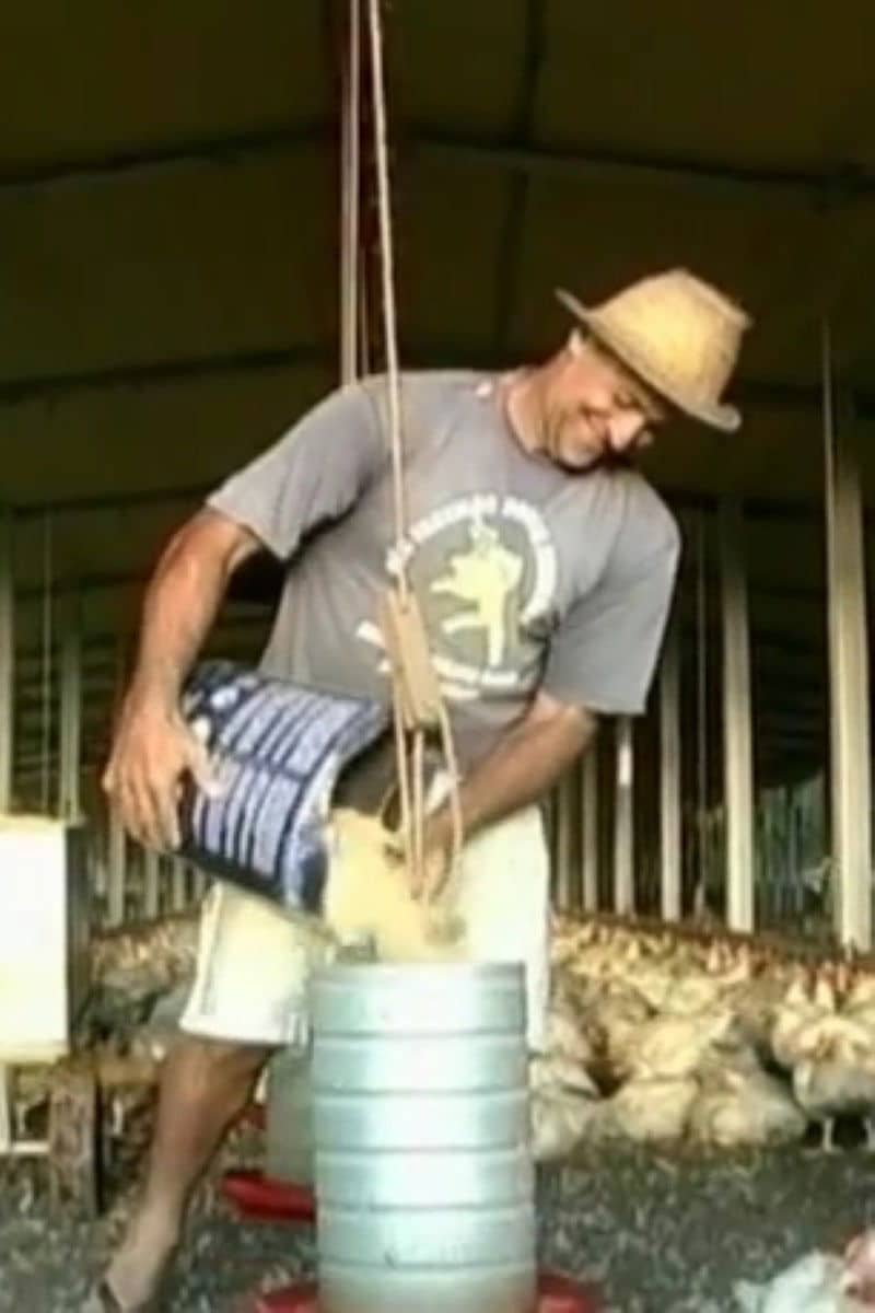 Do Canto ao Pio