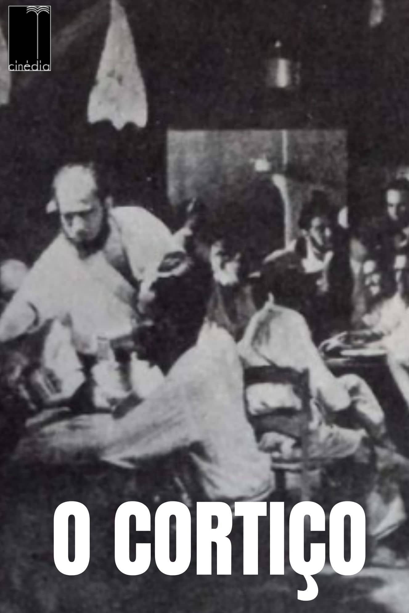 O Cortiço