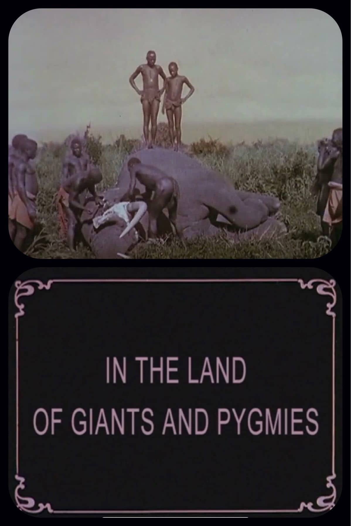 Movie Background