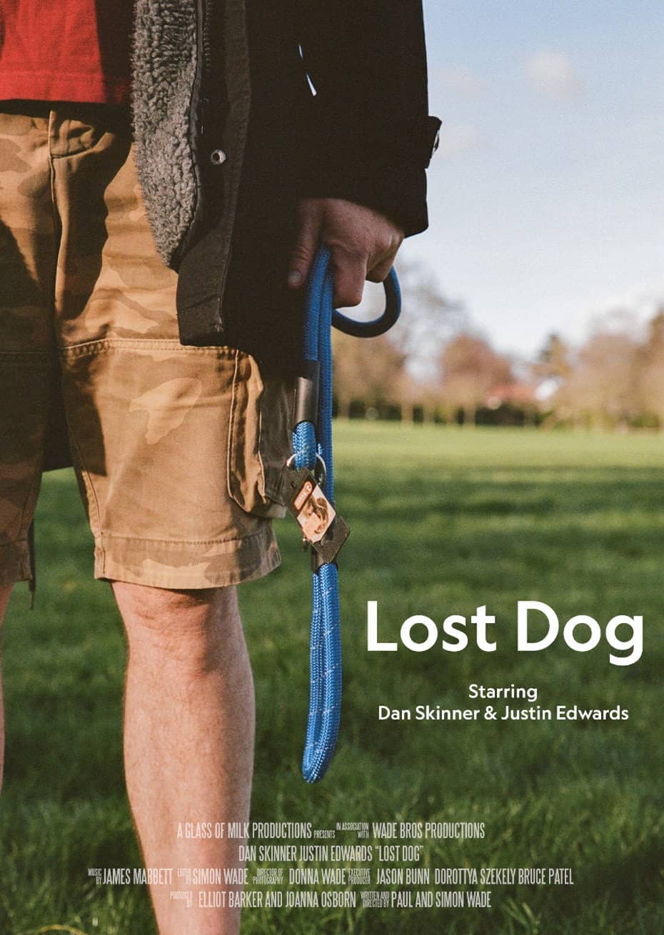 Lost Dog