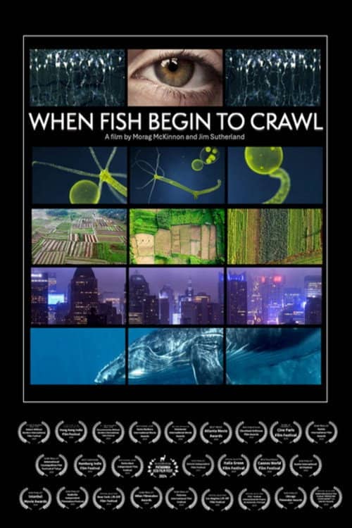 Movie Background