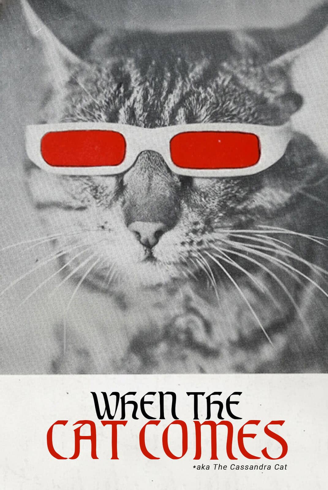 When the Cat Comes