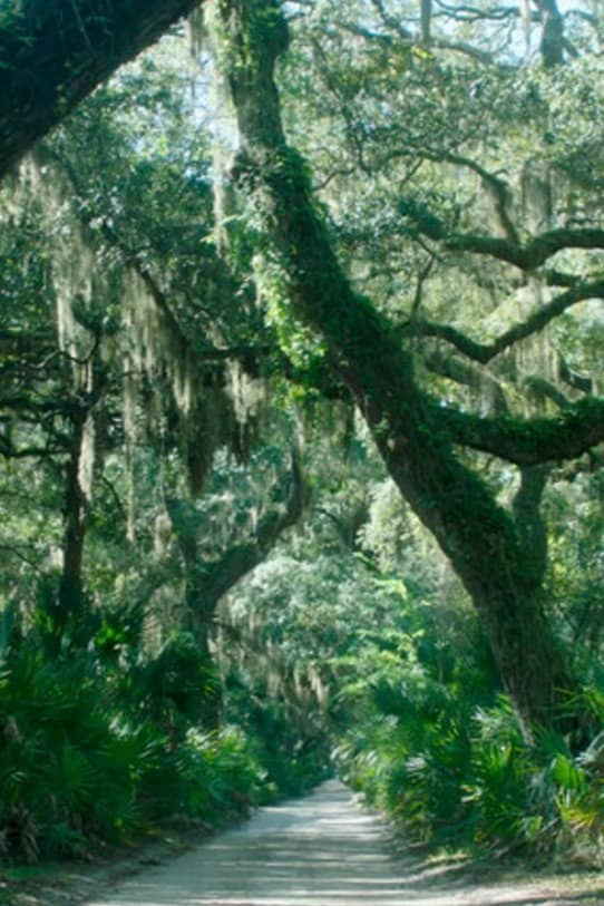Movie Background