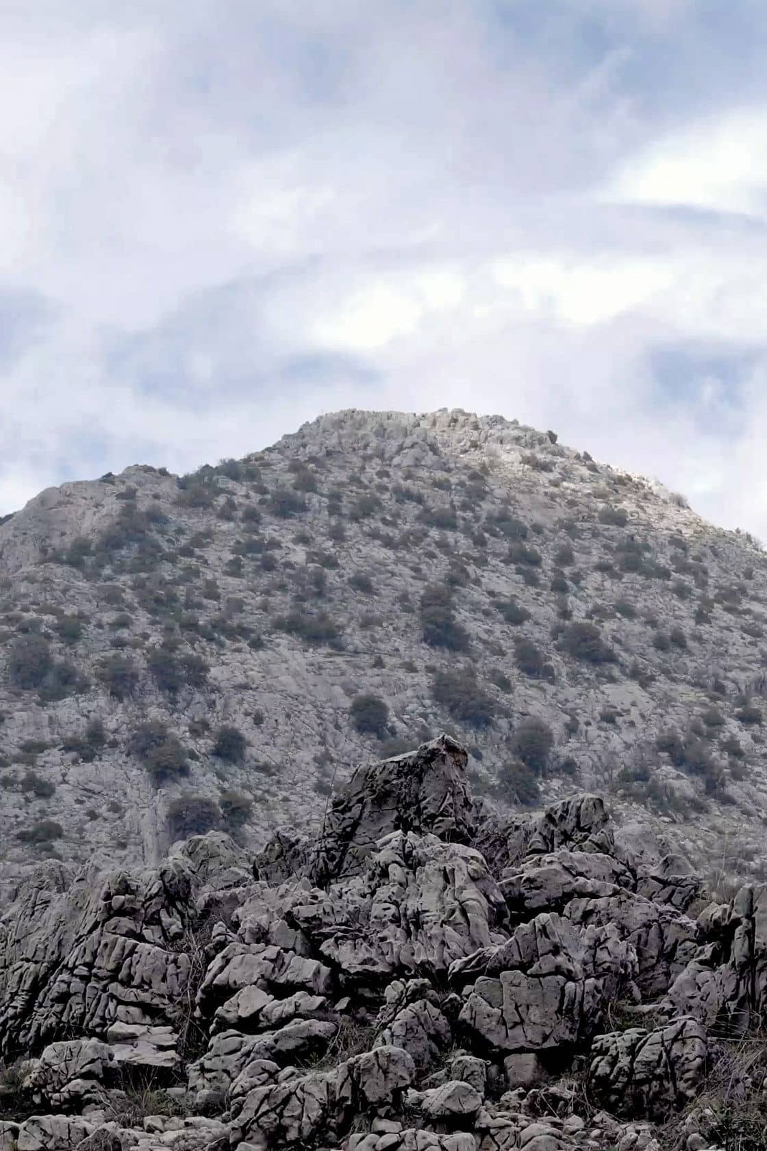 Movie Background
