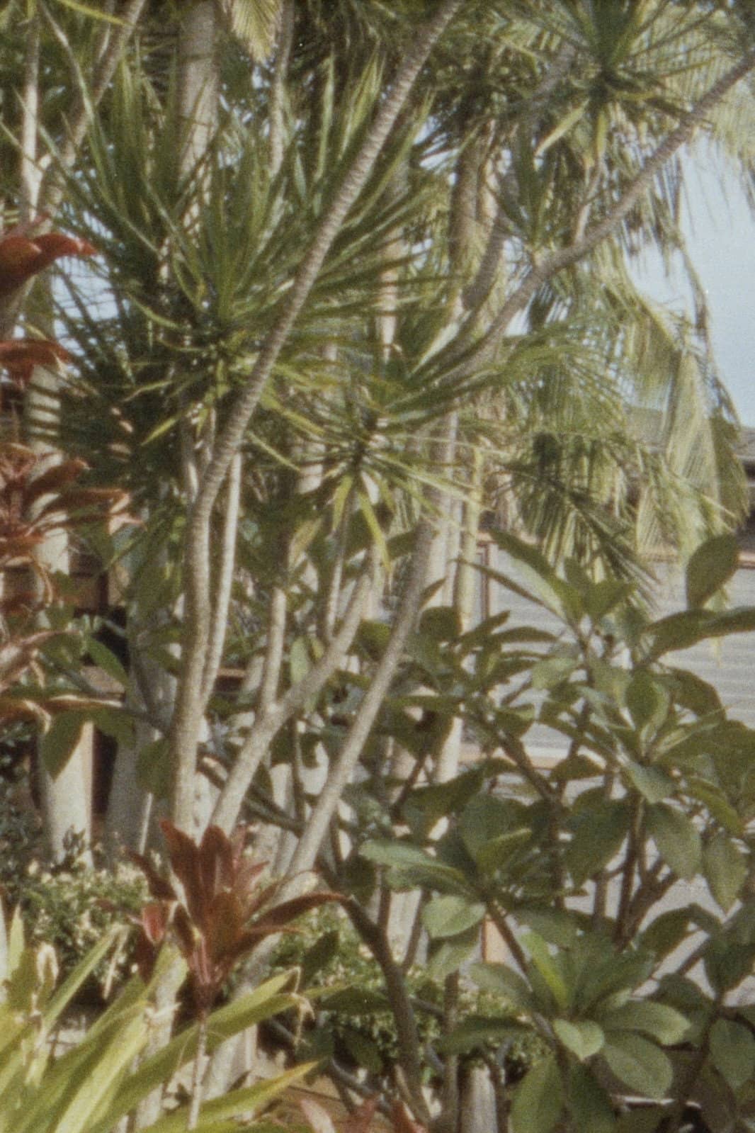 Movie Background