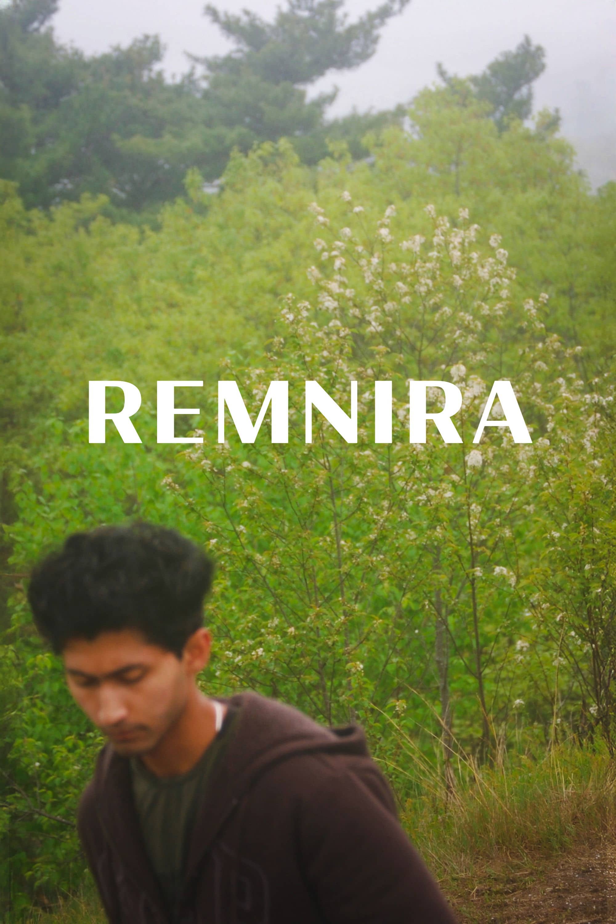 Movie Background