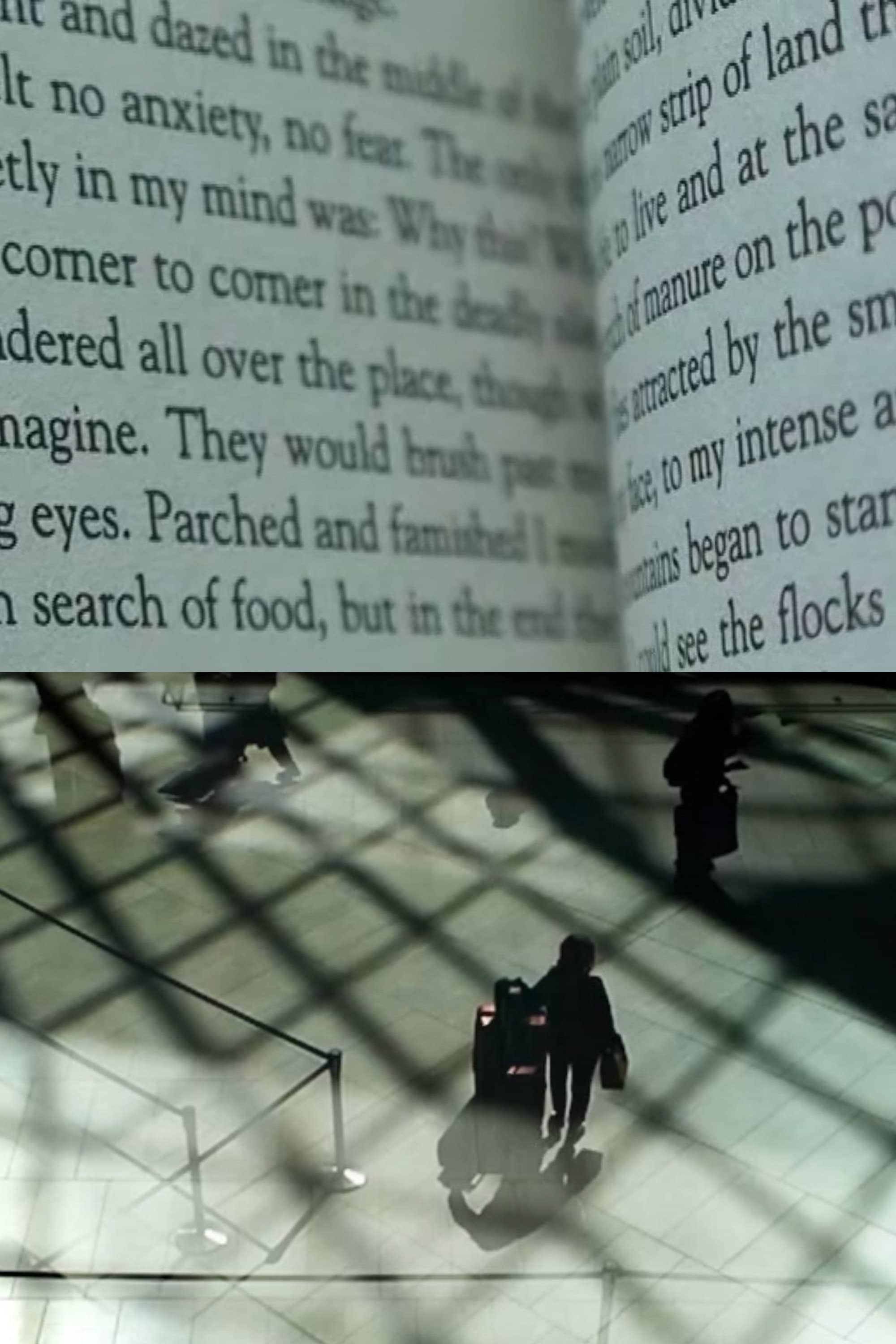 Movie Background