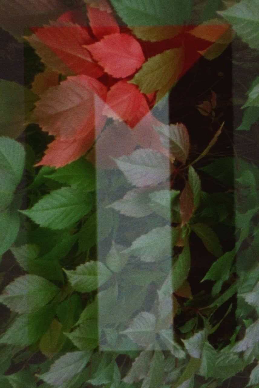 Movie Background