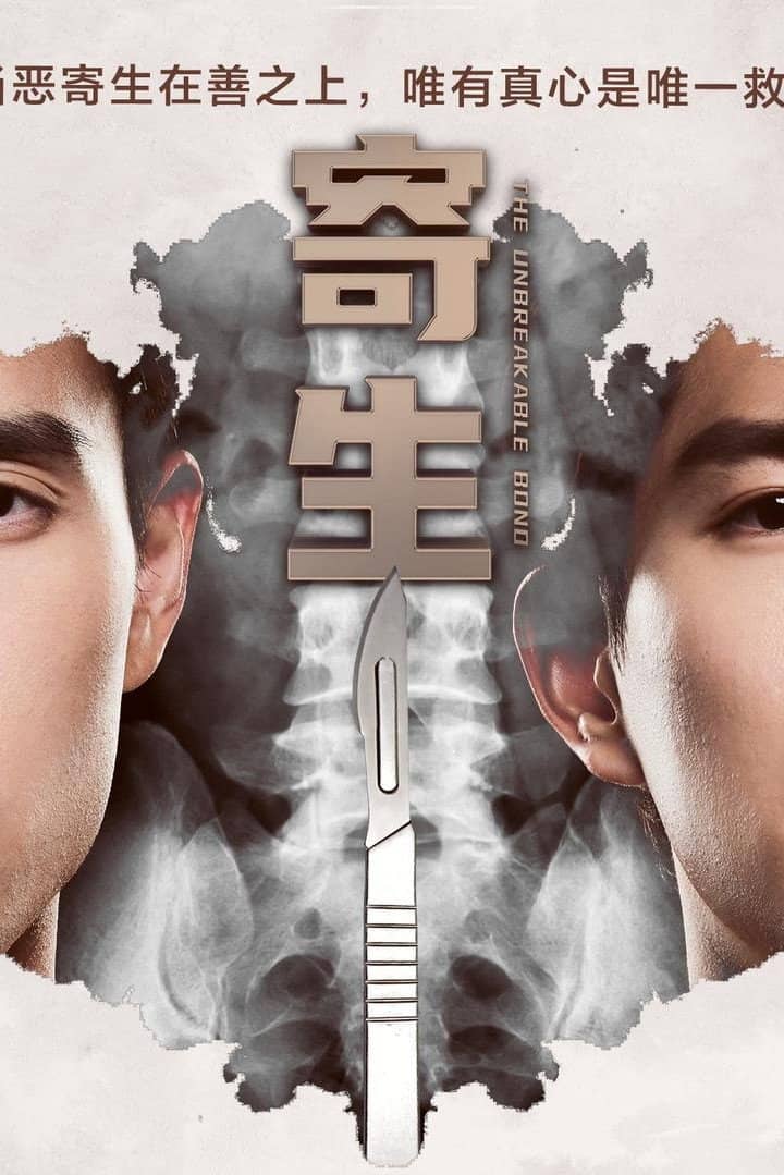 Movie Background