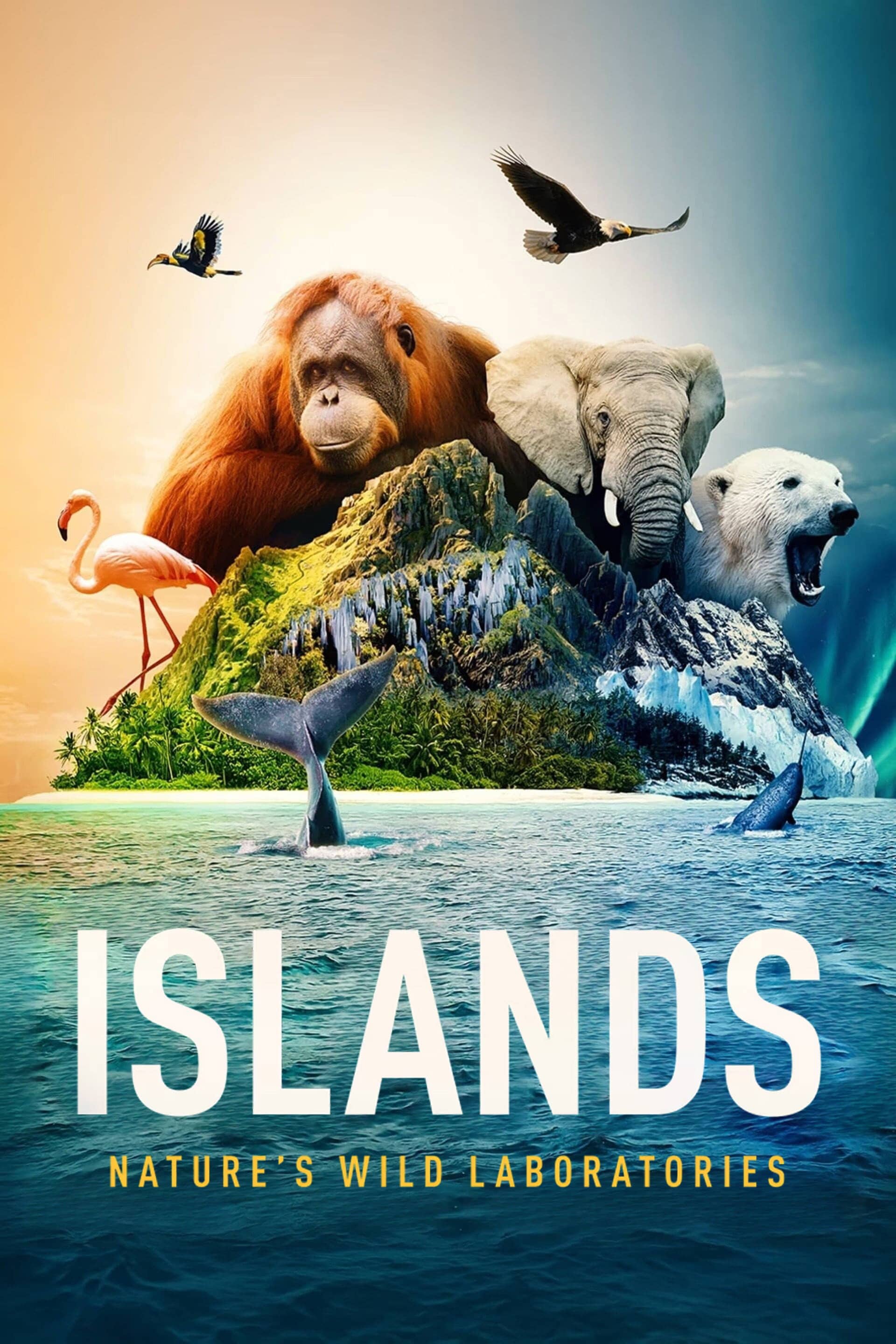 Movie Background