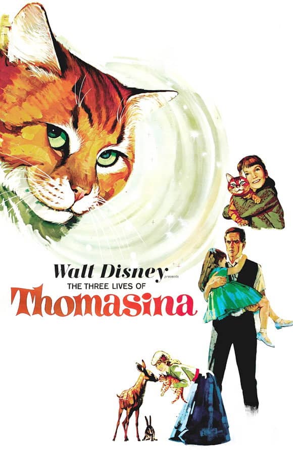 Movie Background