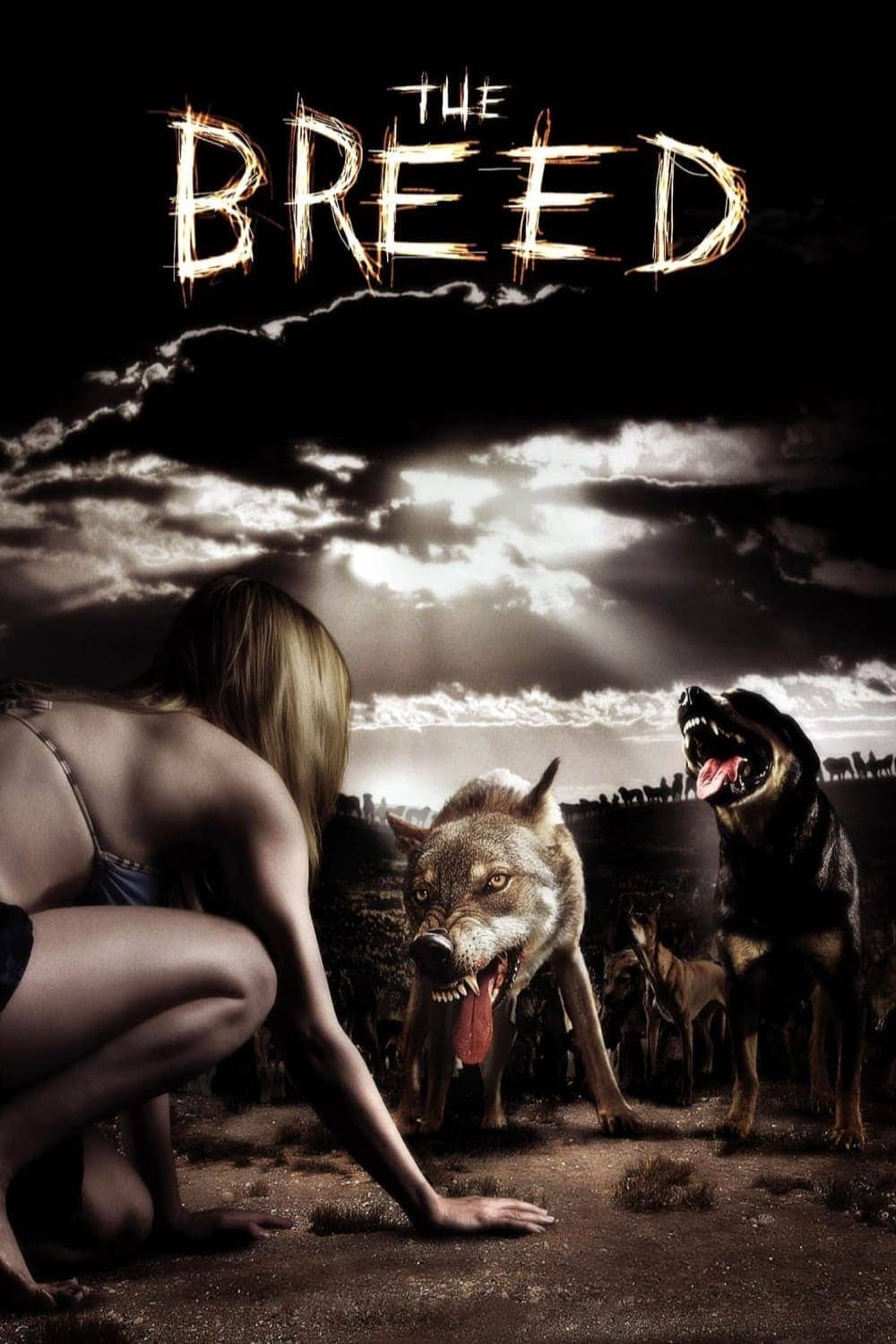 Movie Background