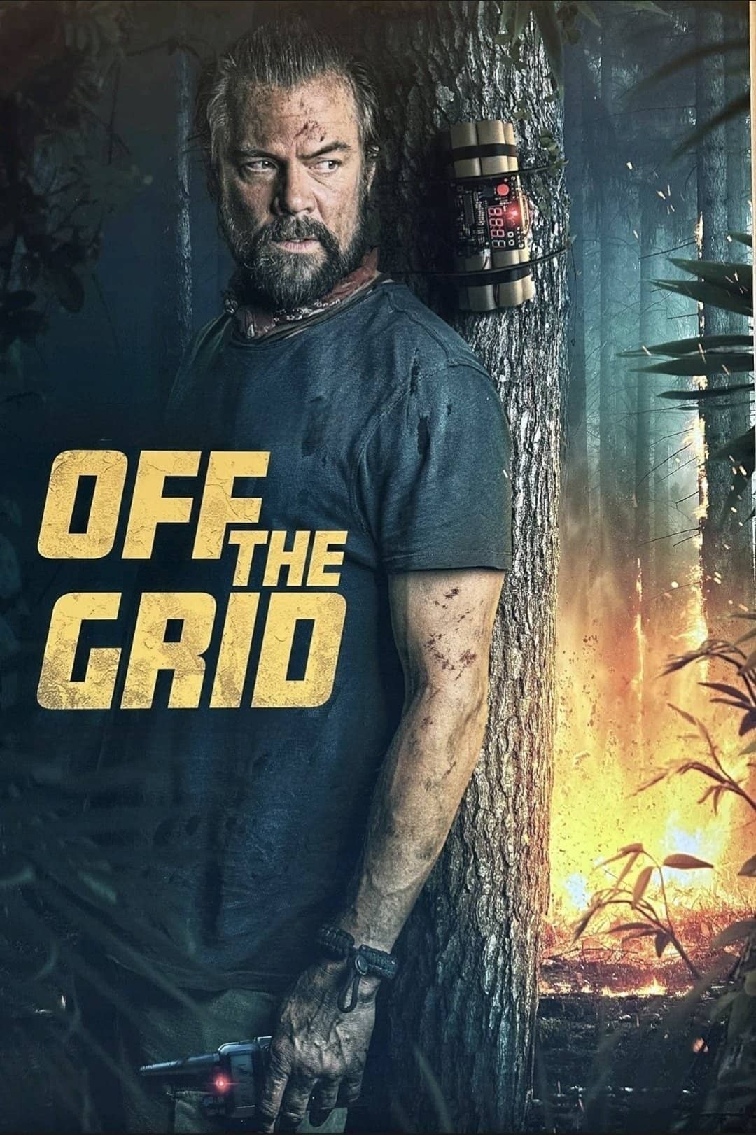 Movie Background