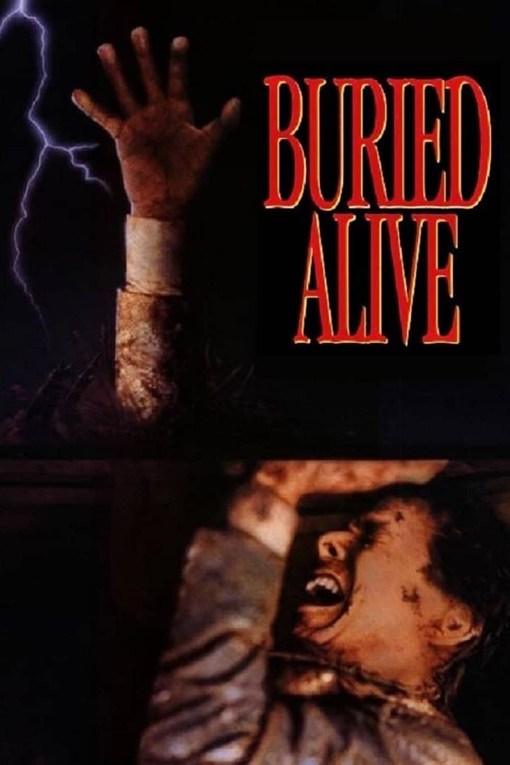 Movie Background